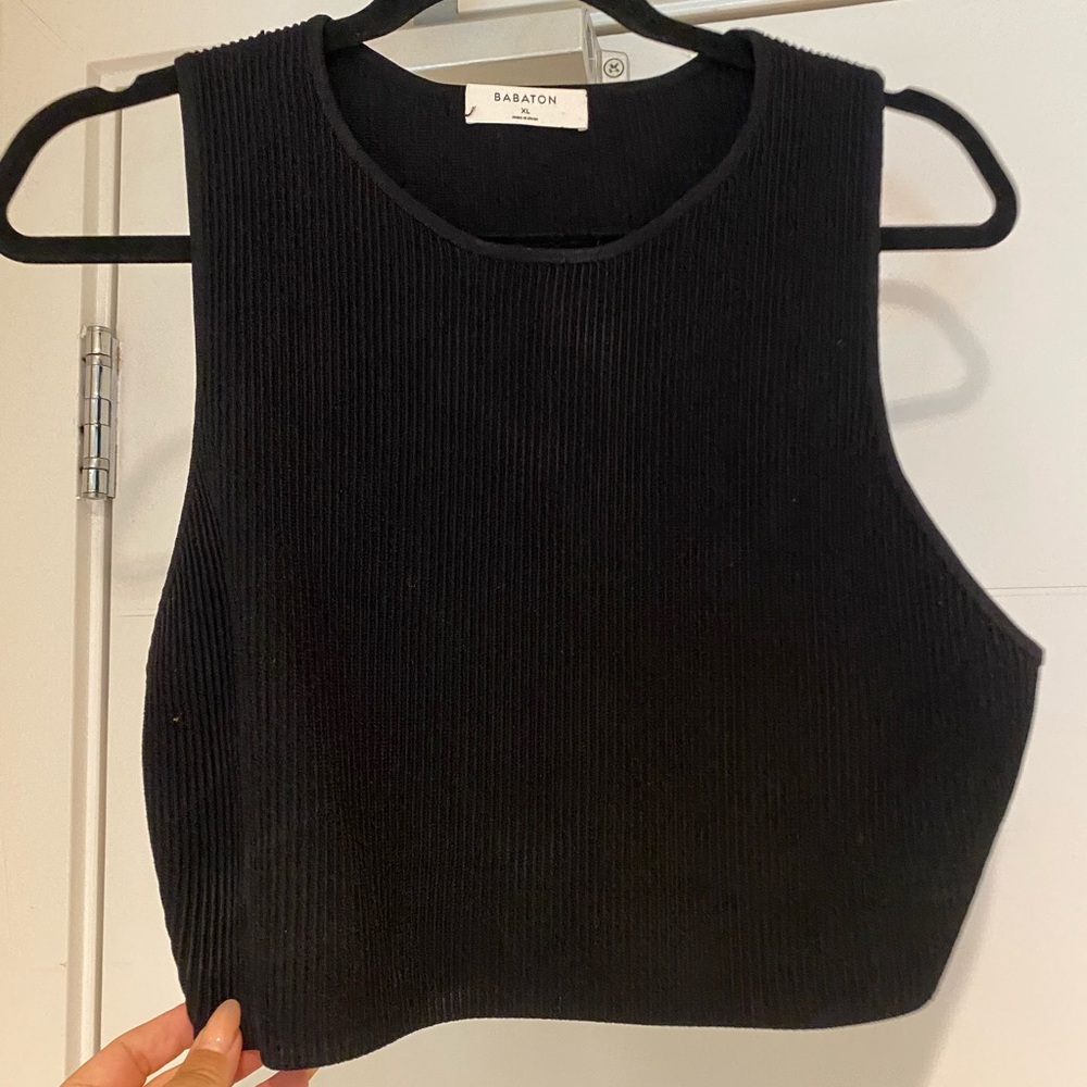 Aritzia Babaton Ribbed Crop Tank